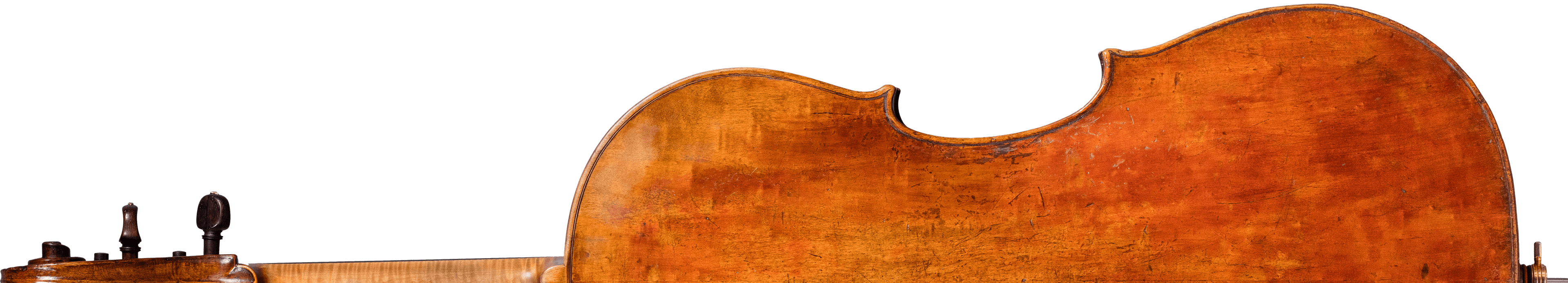 Stradivari cello "Castelbarco" back slice