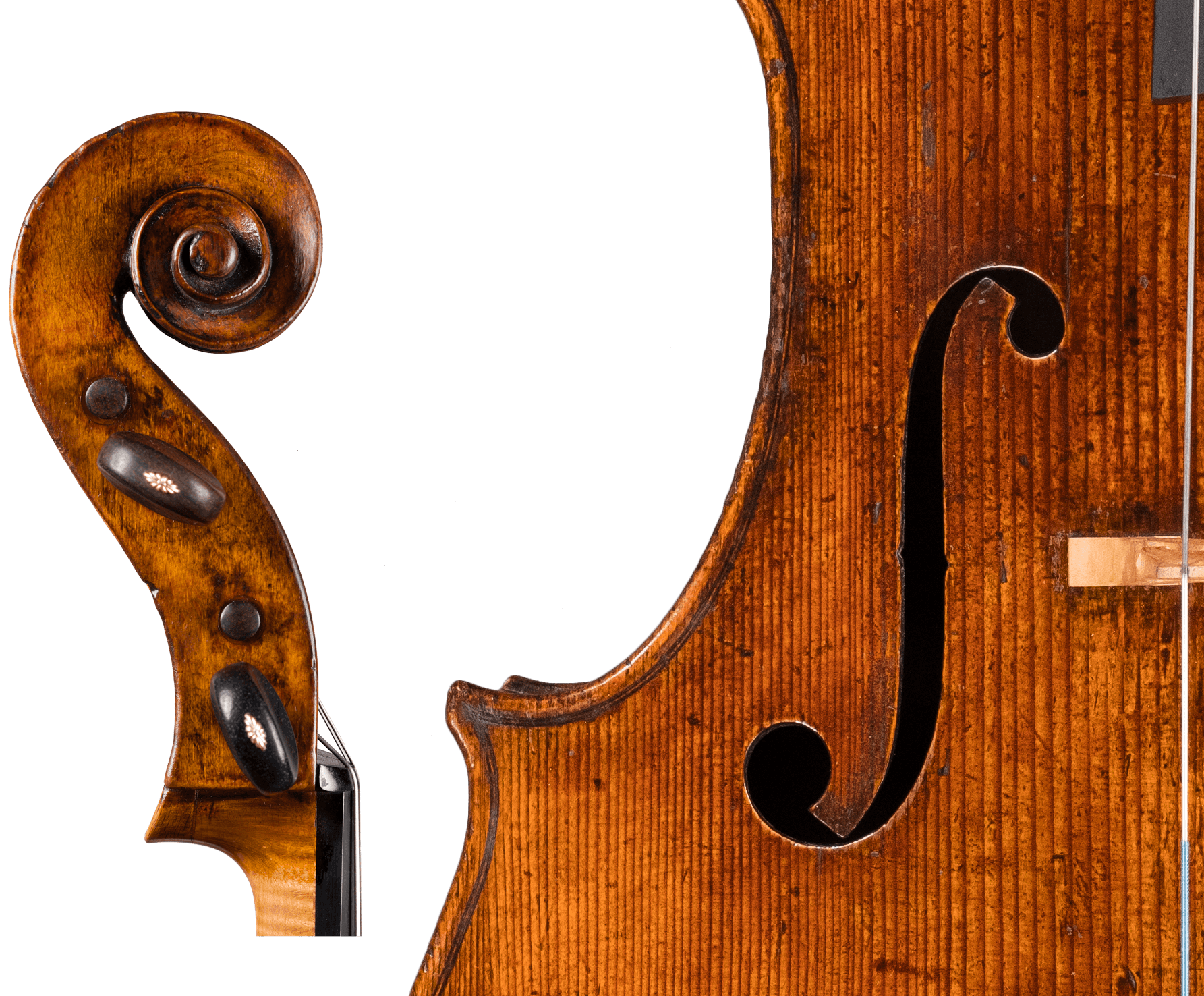 Stradivari Cello "Castelbarco" detail